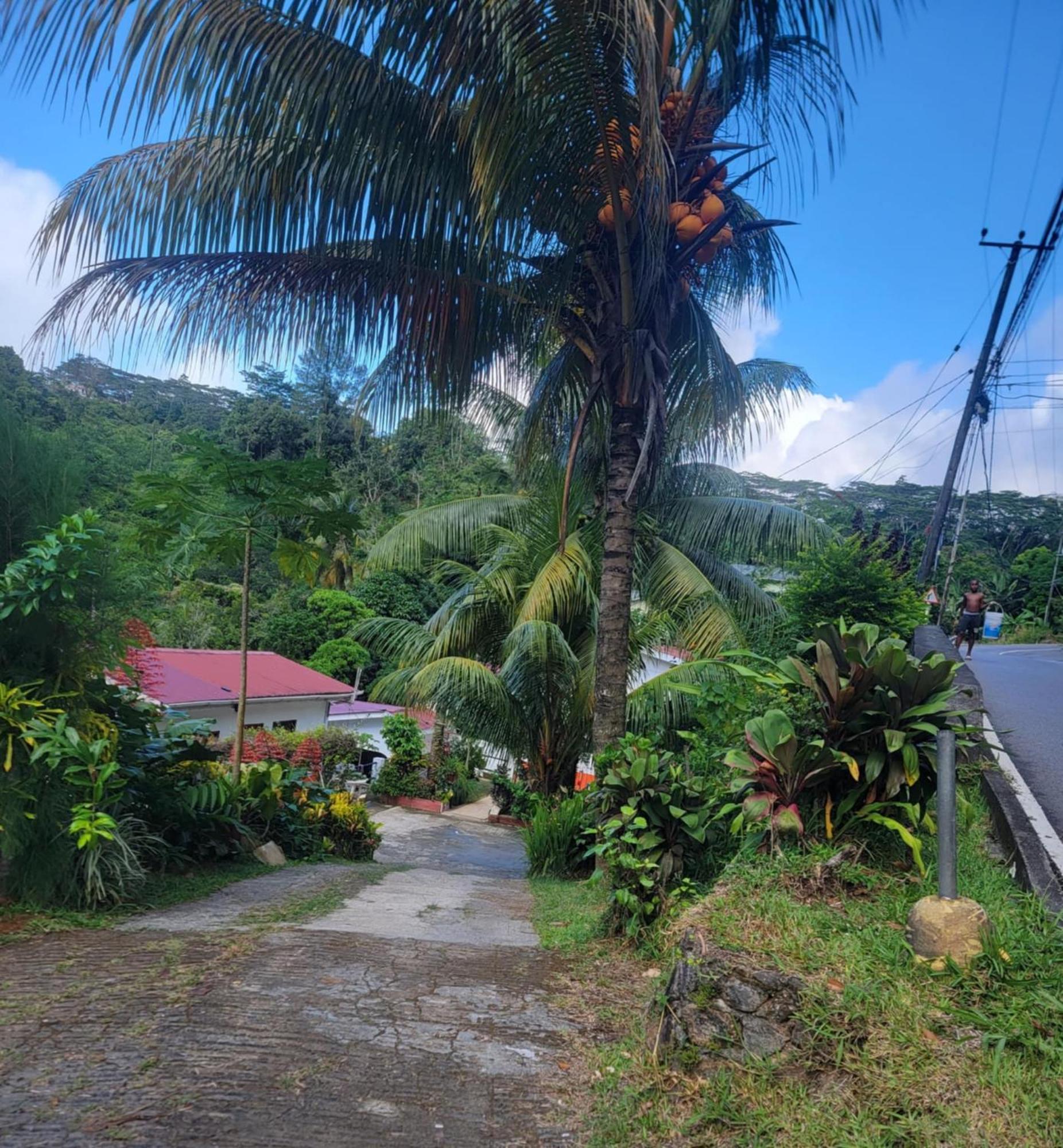 Papayas Self Catering Room Victoria Exterior photo